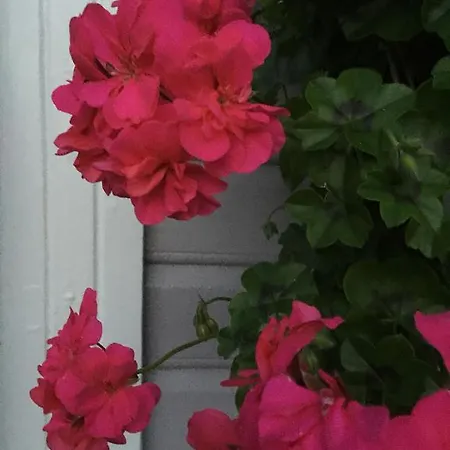 德比住宿加早餐旅馆 住宿加早餐酒店 斯塔万格